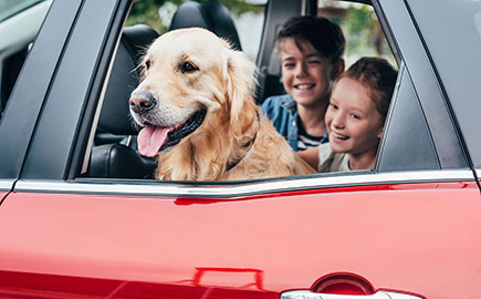 What Are The 5 Best Seat Covers for Your Lifestyle?