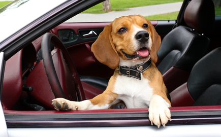 Are Custom Seat Covers the Right Choice for You?