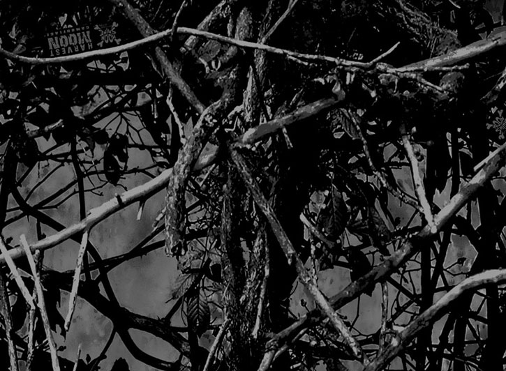 Close Up of Harvest Moon Seat Covers Black and White Pattern for 2010 Toyota Highlander