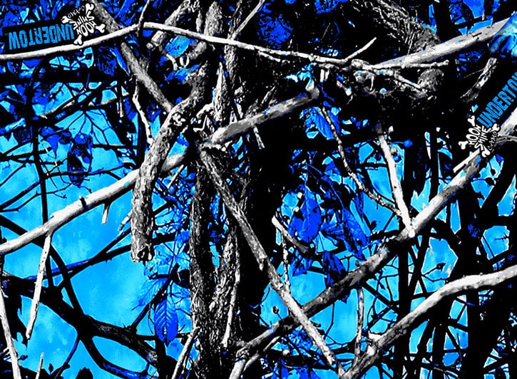 Close Up of Undertow Blue Camo for 2006 Toyota Highlander